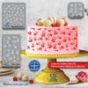 Cake Stencil for Pastry Decoration – PETG Food-Grade Kitchen Template, Made in Quebec